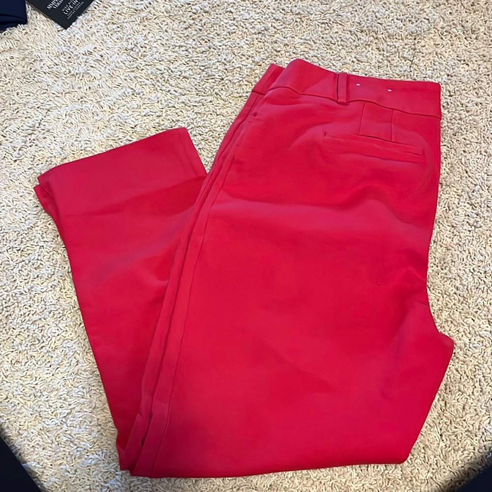 Loft Crop Red Julie 10